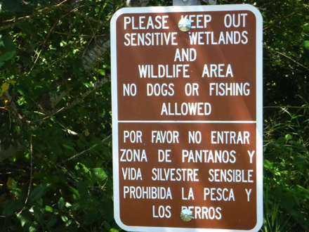 Keep out of sensitive wetlands and wildlife areas – no dogs or fishing are allowed in these areas